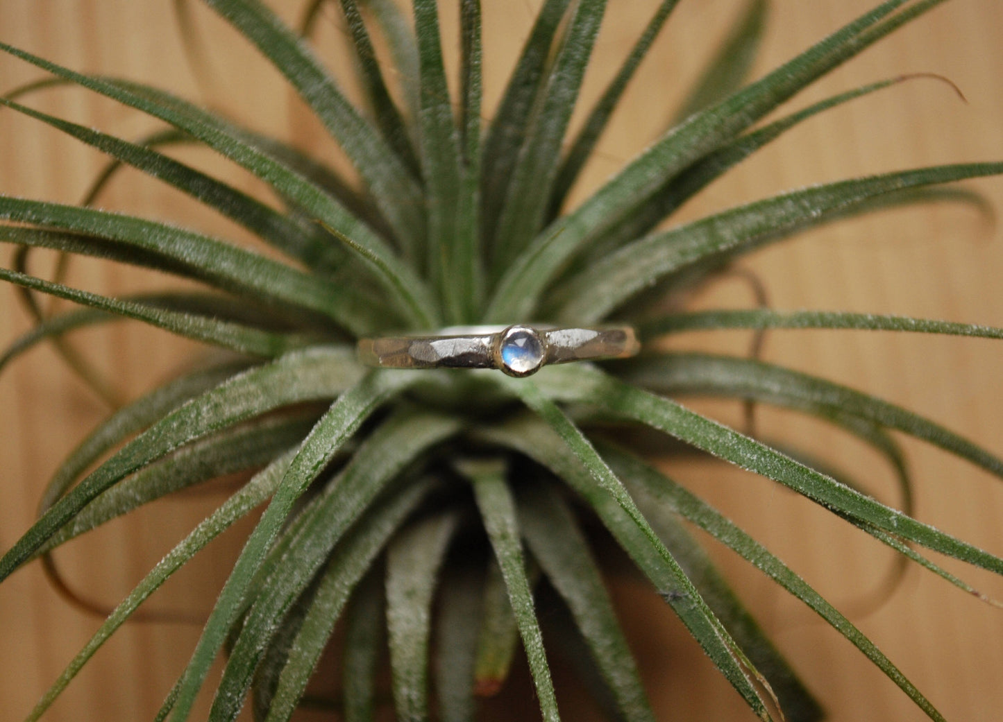 Hammered stone ring