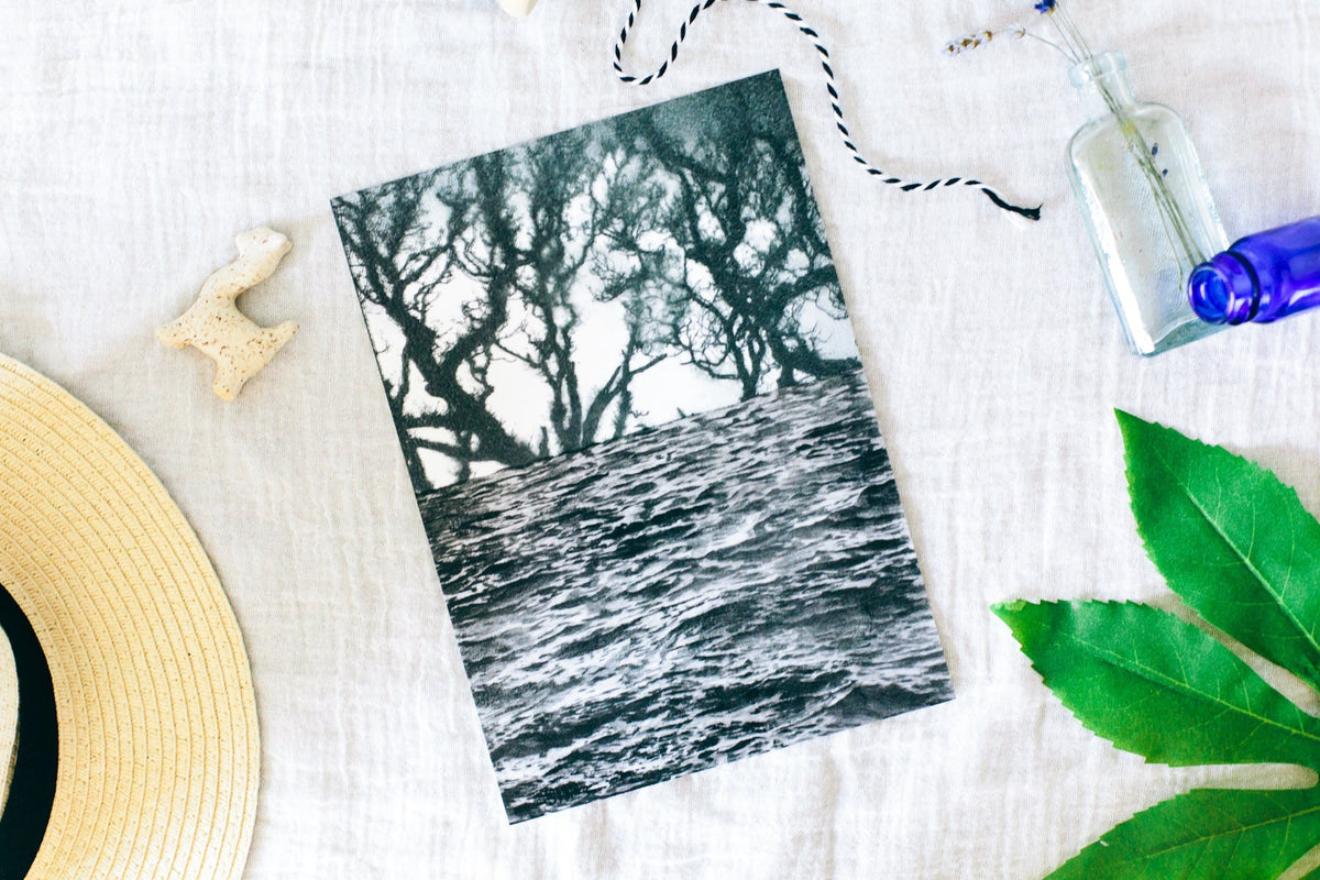 Sea Forest art print, the absurdist series